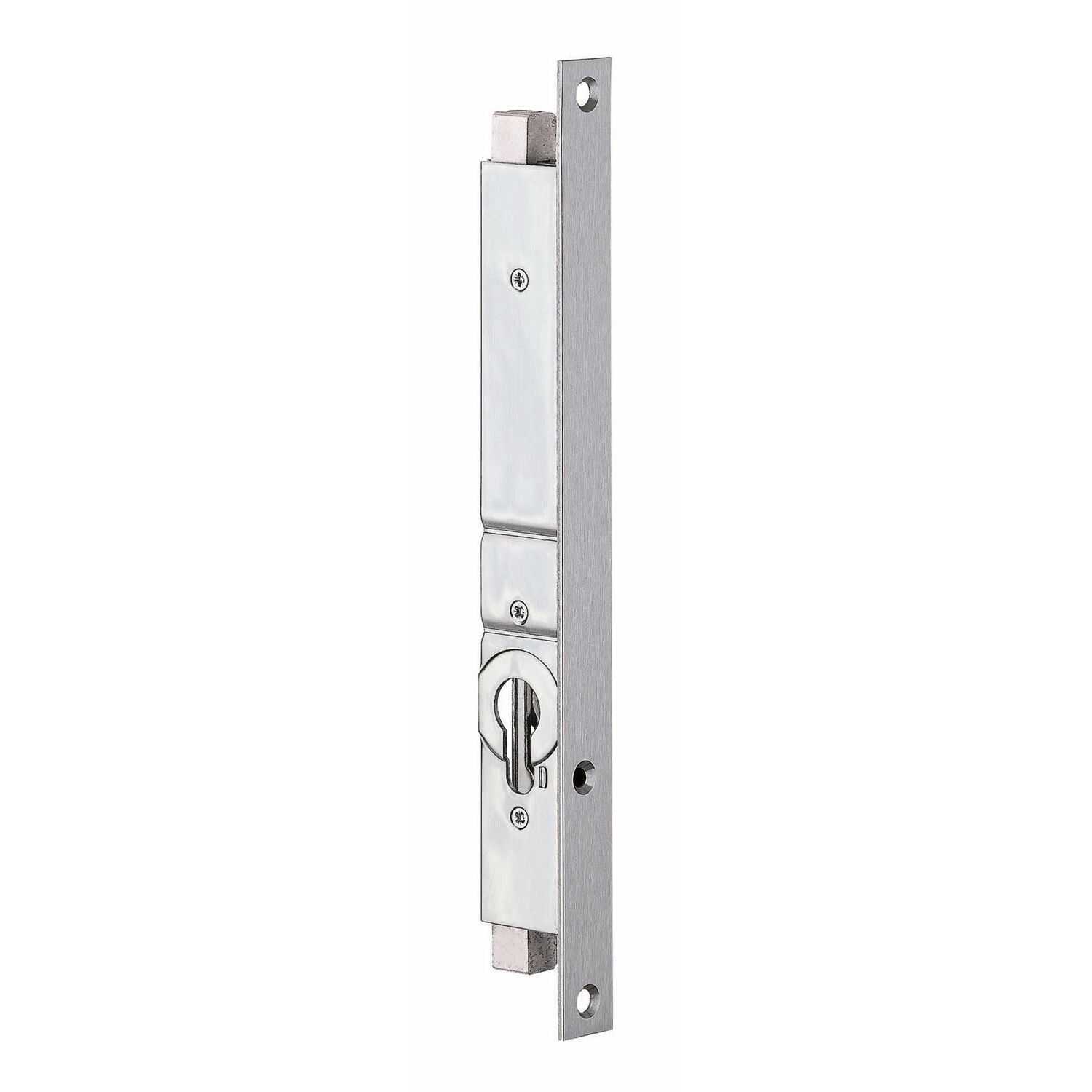 Serie 2253 Cerradura de 2 puntos con pestillo superior e inferior