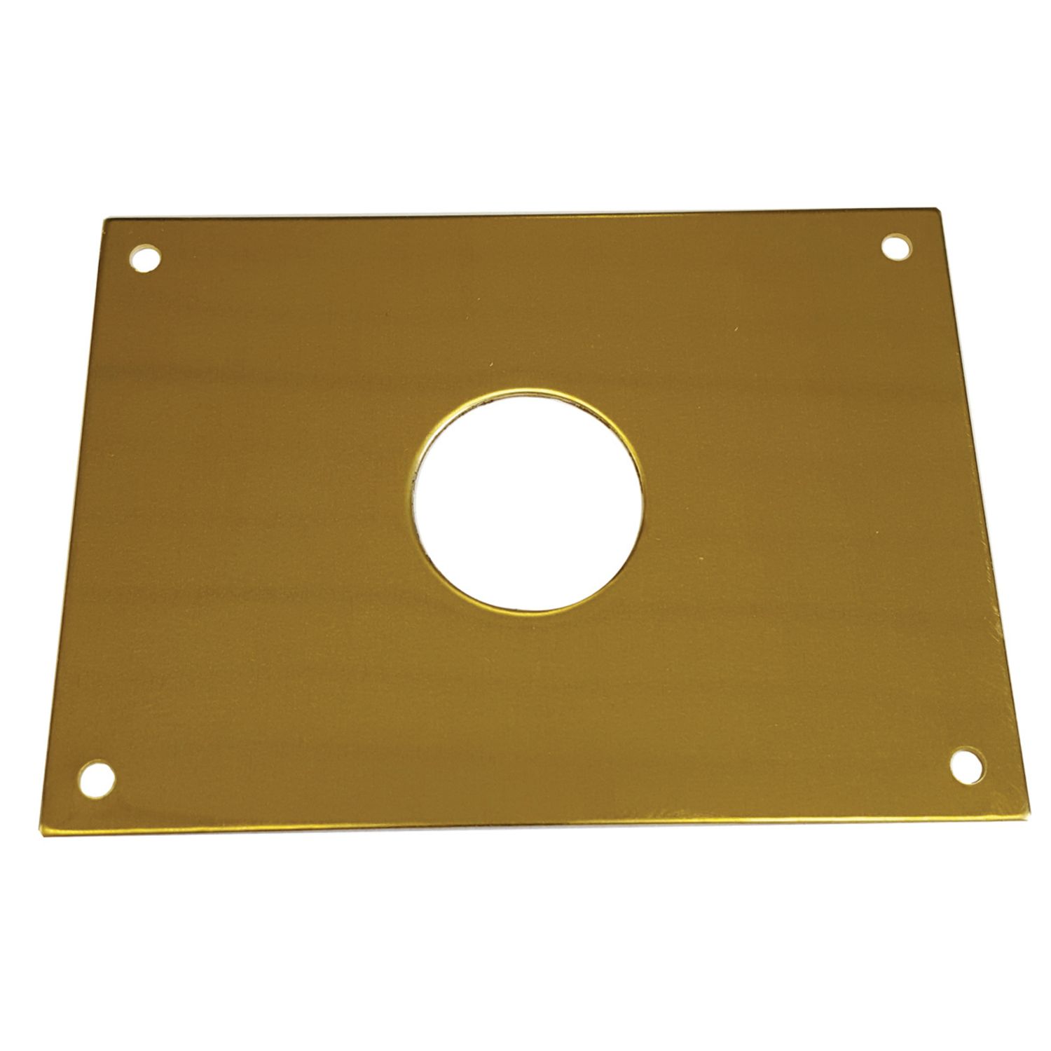 Placa posterior