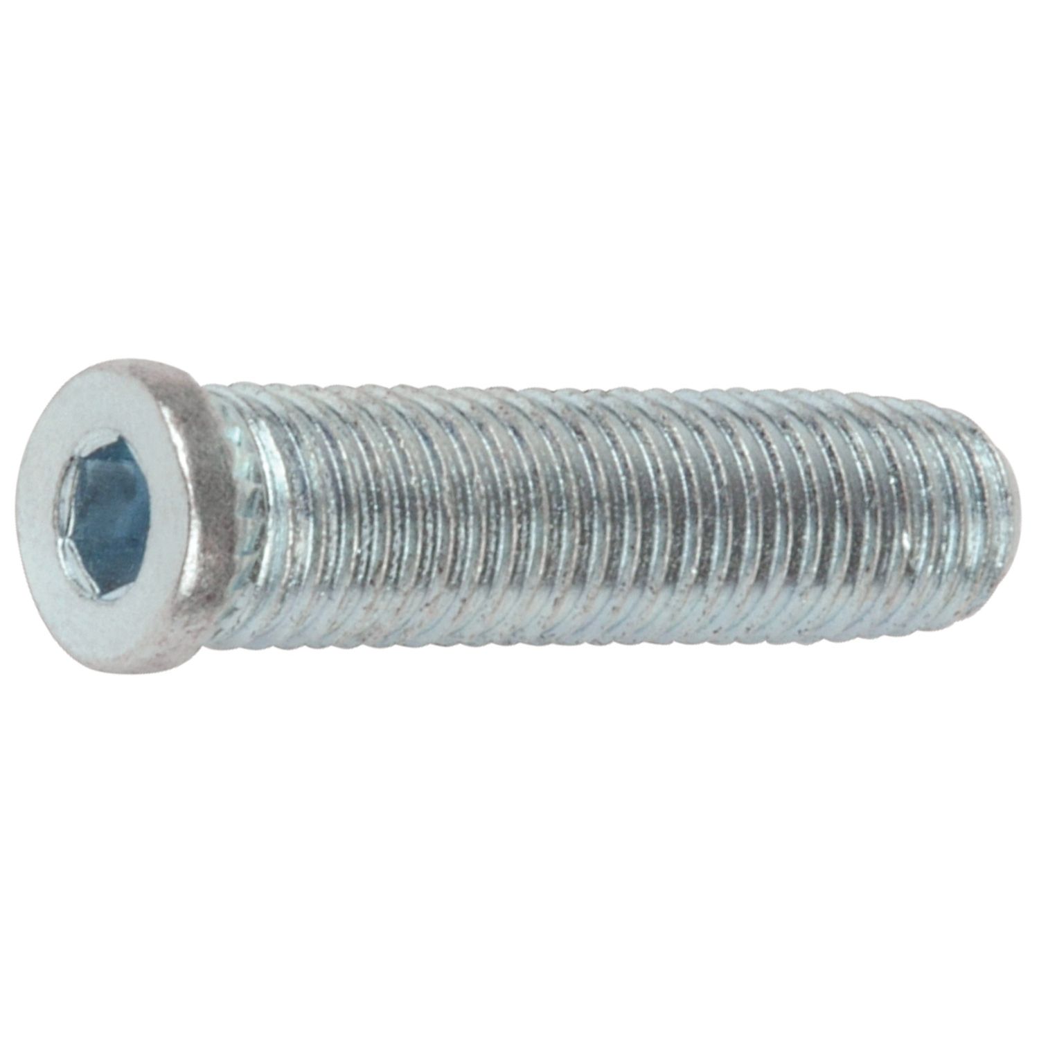 Tornillo autorroscante para loira +.