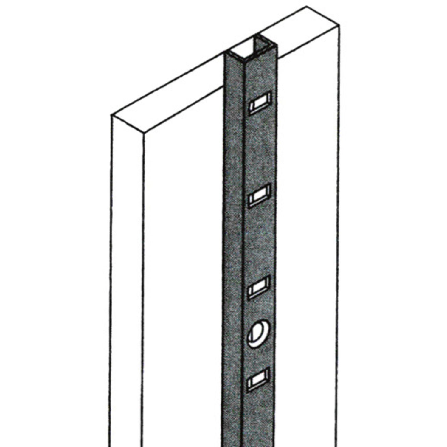 231161-b2