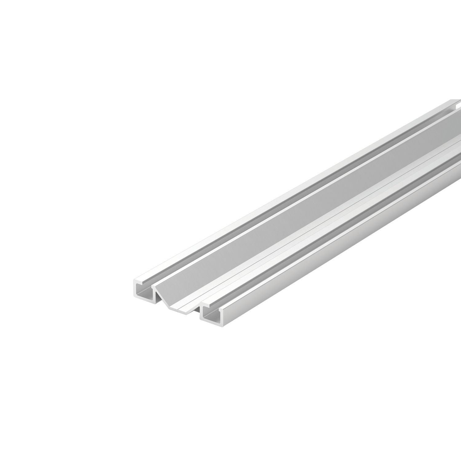 Carril bajo de 55 mm - 2 500, Plata anodizada