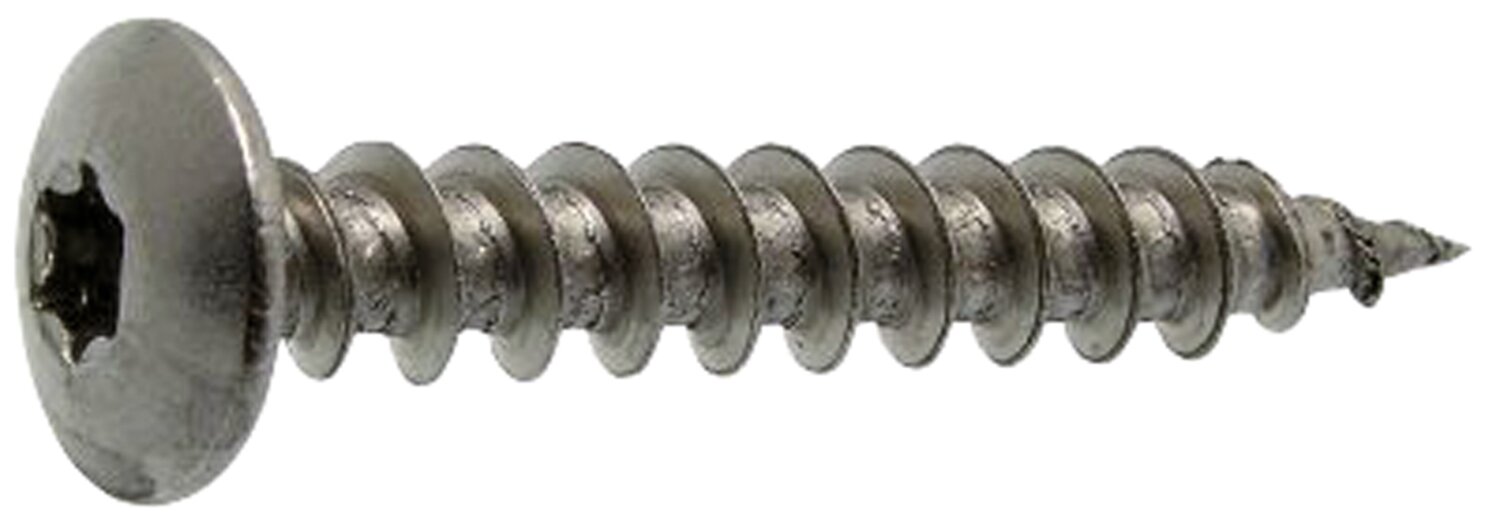 Tornillo de bisagra Torx de cabeza redonda grande