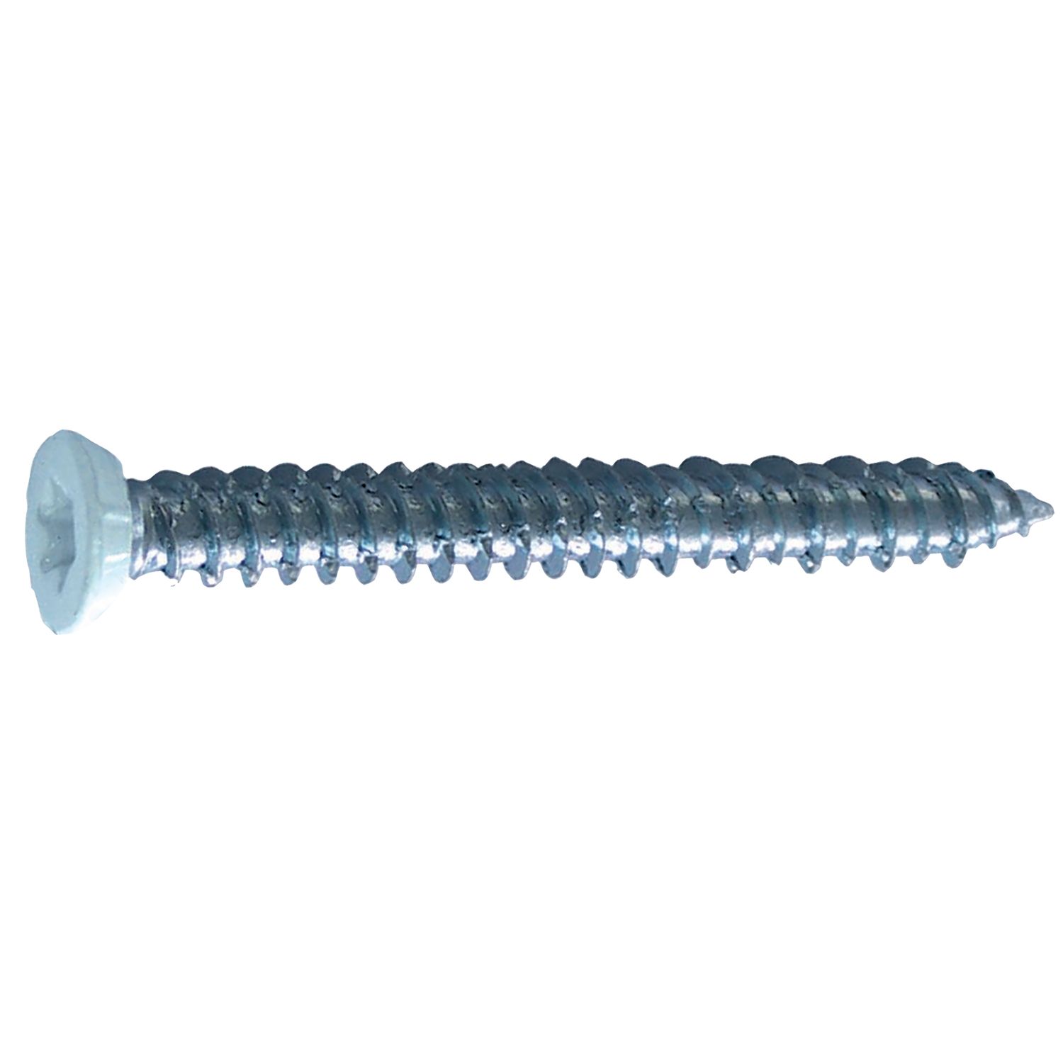 Tornillos de carpintería EXCLUSIVE® con cabeza avellanada torx Cabezal lacado en blanco
