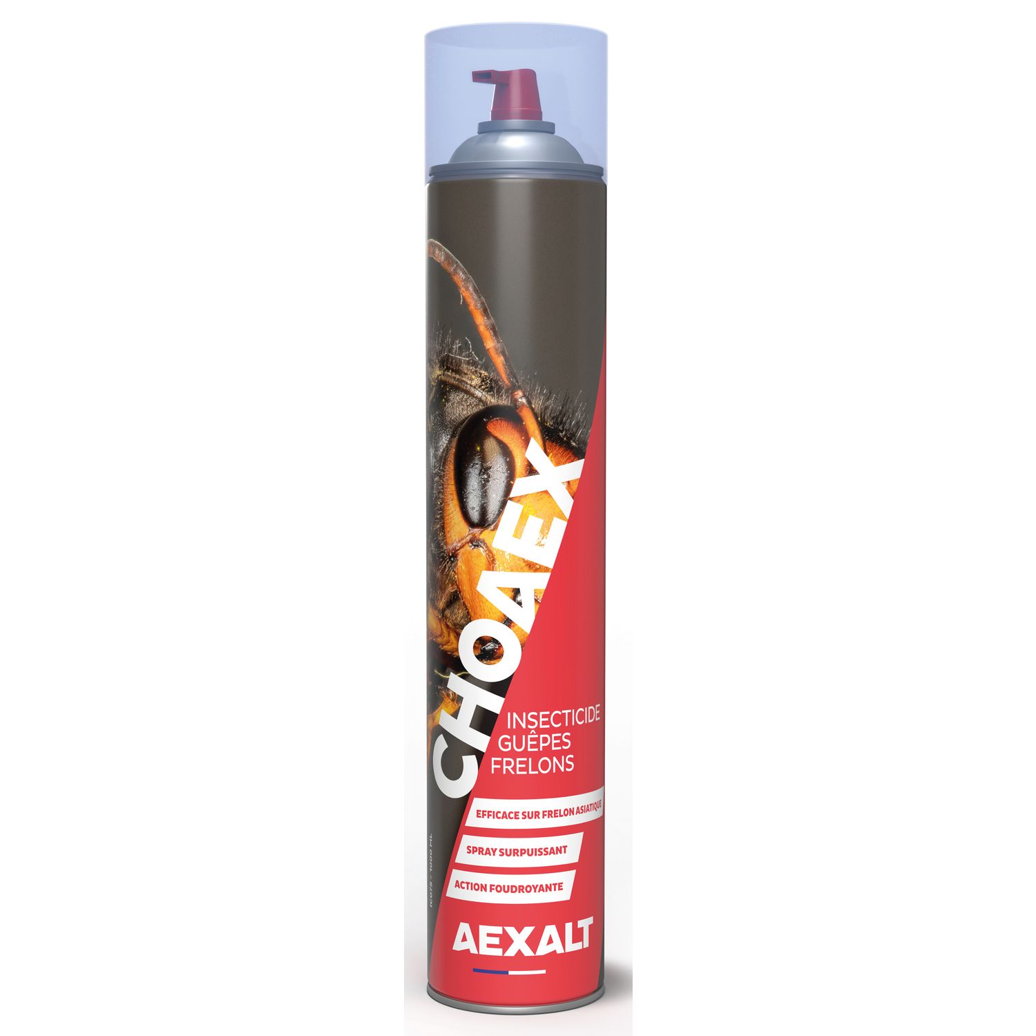 CHOAEX ANTI-FRELON 1000ML AERO