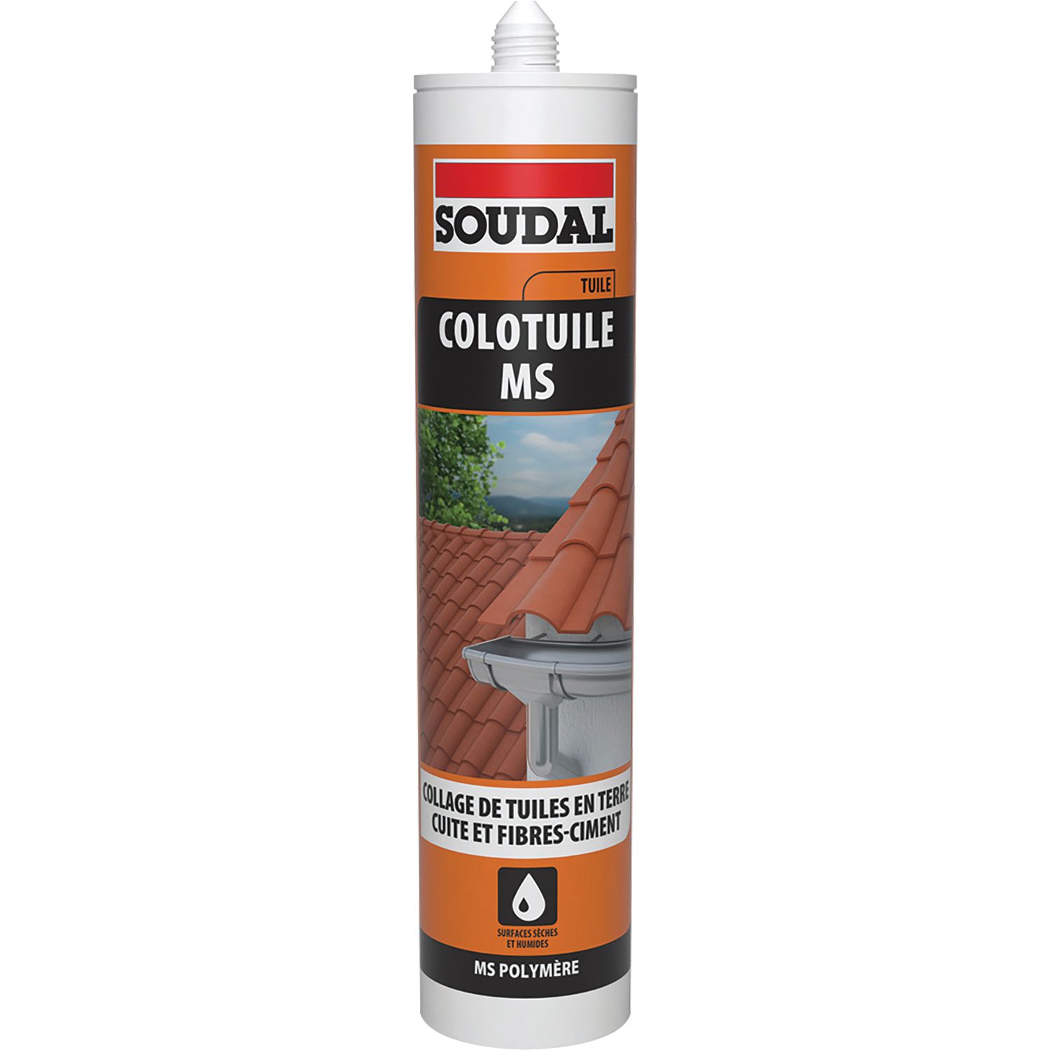 MASILLA MS POLYMERE COLOTUILE MS X12CART