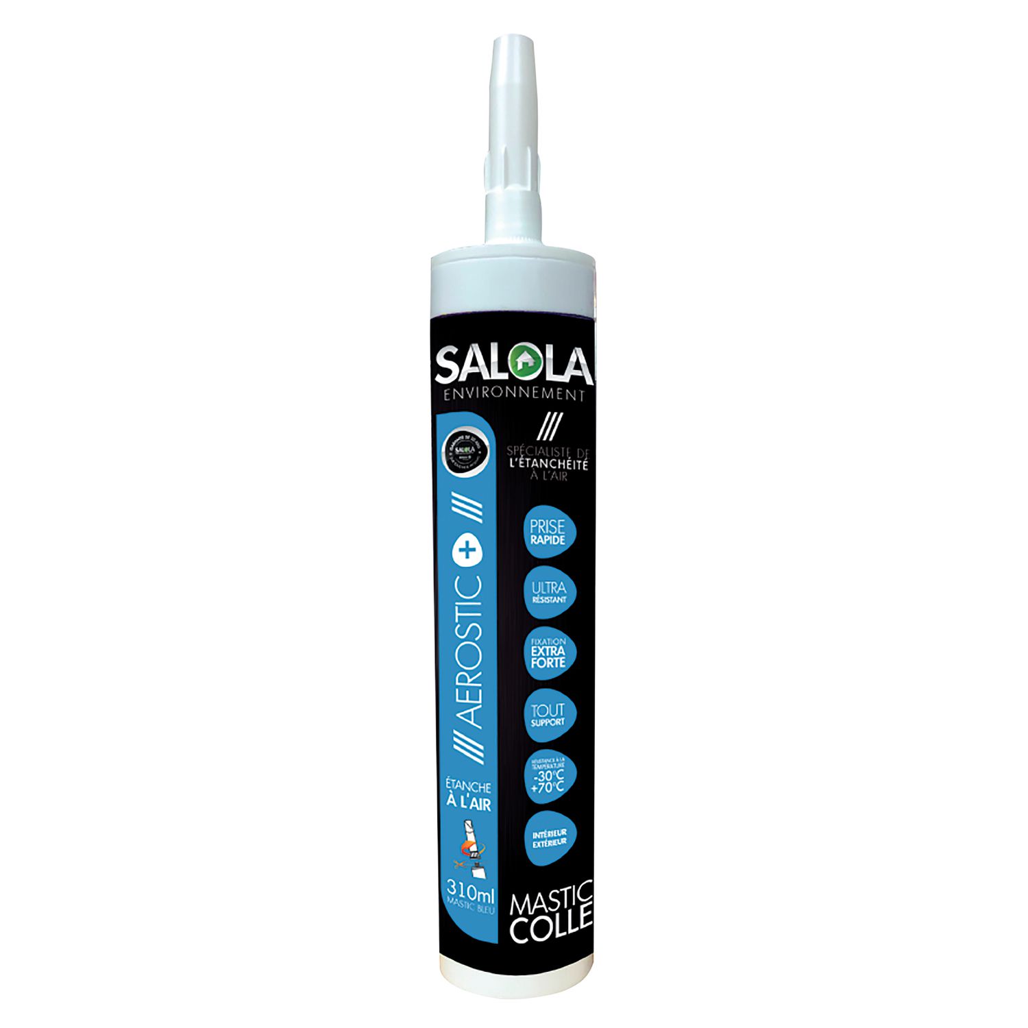 PEGAMENTO MASILLA INT/EXT 310ML