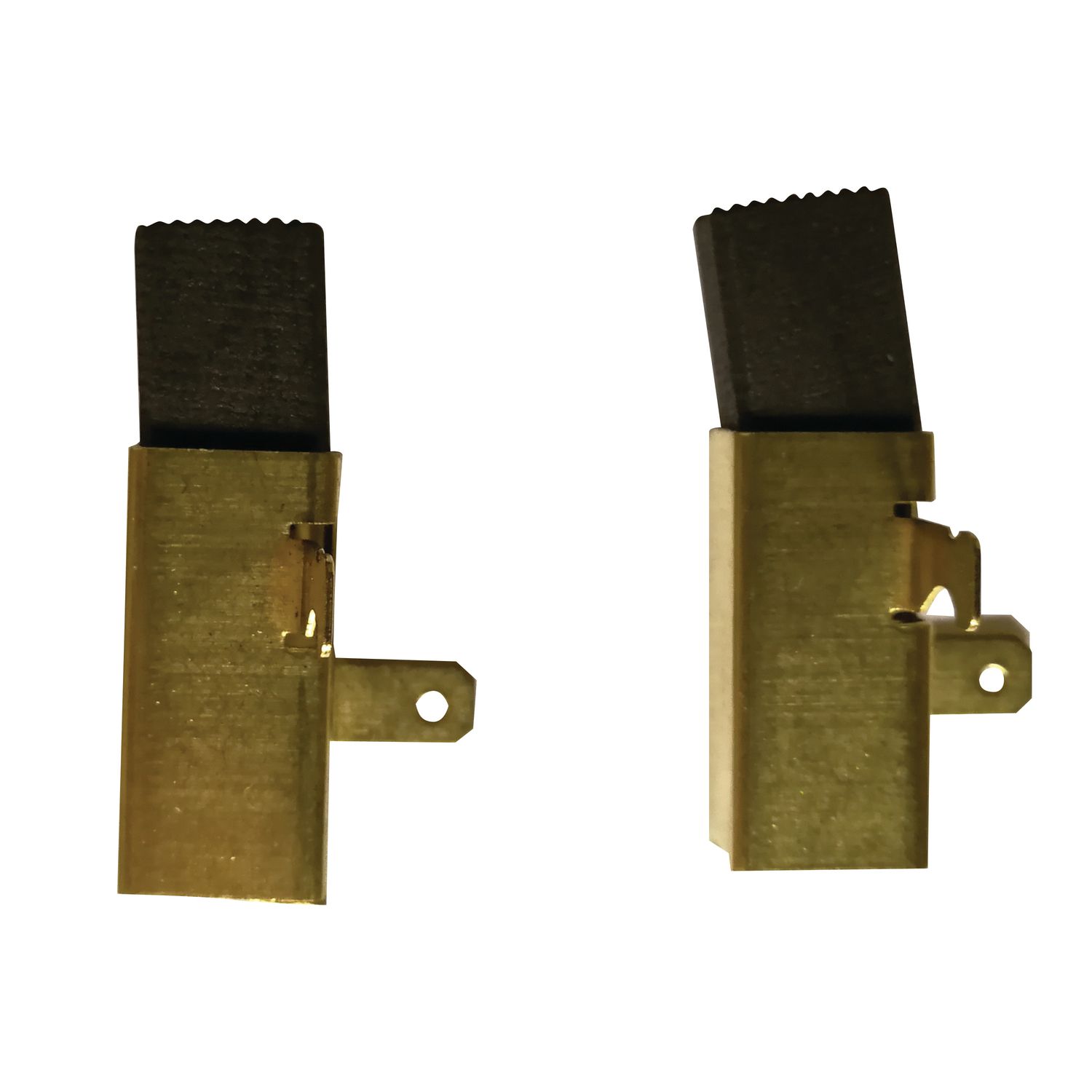 CARBÓN P/TS55 EQ/EBQ X2 491704